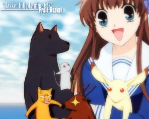 Fruits Basket Mini_282489154670