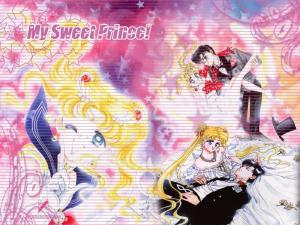 Sailor Moon Mini_287984sweetprince