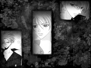 Fruits Basket Mini_321673moonacrekyosoma2800