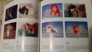 Les livres Disney - Page 23 Mini_33178220160301201809