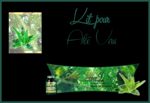 Les commandes de clients satisfaits Mini_54435268aloevera