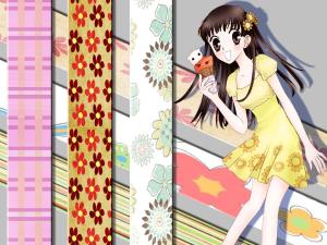 Fruits Basket Mini_562125431936