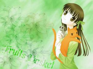 Fruits Basket Mini_569941218007