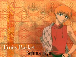 Fruits Basket Mini_663216kyo