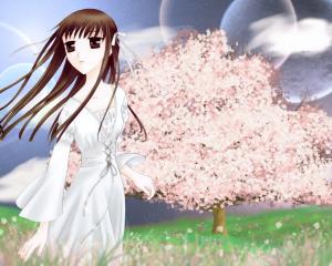 Fruits Basket Mini_7164683776