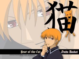 Fruits Basket Mini_742456fruitsbasketcat5ih