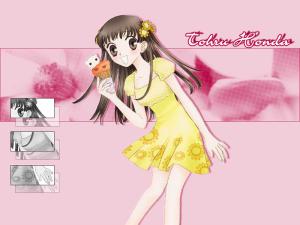 Fruits Basket Mini_767102lilypinktohru800