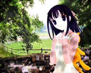 Fruits Basket Mini_774429678