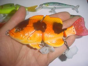 peinture sur poissons nageurs! Mini_817250DSC01381