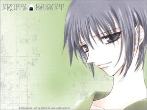 Fruits Basket Mini_908141wall018x6