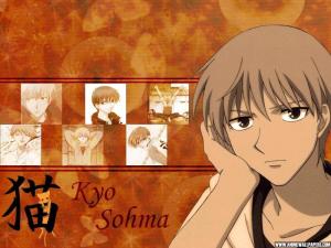 Fruits Basket Mini_960310776