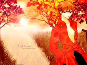 Fruits Basket Mini_983015218276