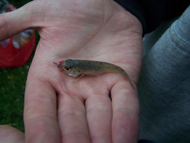 journée peche demain ^^ 103380100_2996