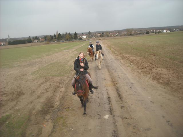 Balade de 2h - Milly la Forêt - Chapeau de Napoléon 129499DSCN9493