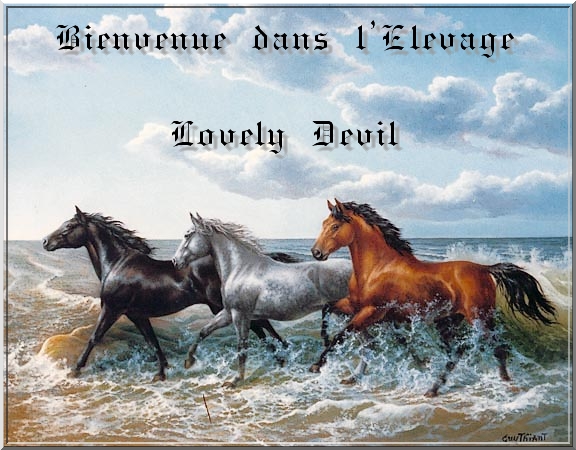 L'Elevage Lovely Devil 138783Titre_1