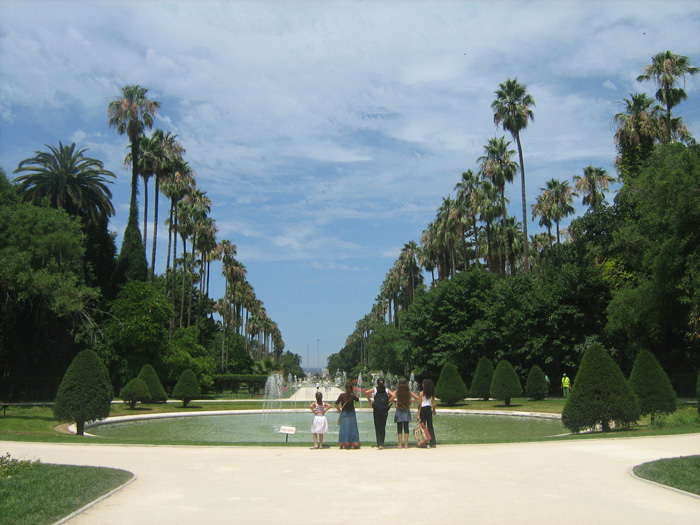 Le Jardin d’Essai du Hamma ... Un patrimoine exceptionnel 219888IMG_0460