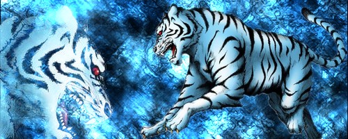 Galerie de Akira Itamu ! 284196Tigre_blanc_2