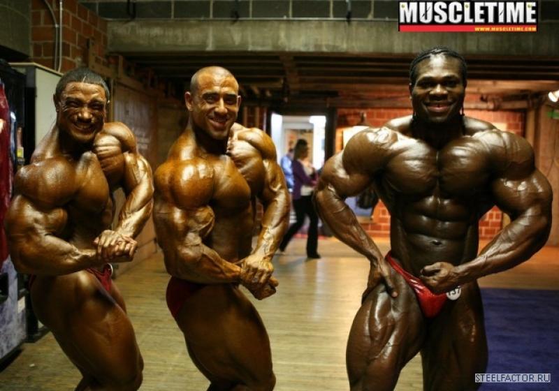 Roelly Winklaar  - Page 2 3023772009_arnold_classic158