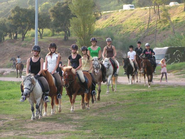 Galop 4 sur shets ! - Page 2 321070Cours_shetlands_149