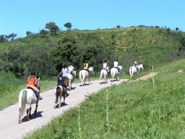 journée radieuse pour une randonnée ... 340990rando_journee_04.09_043