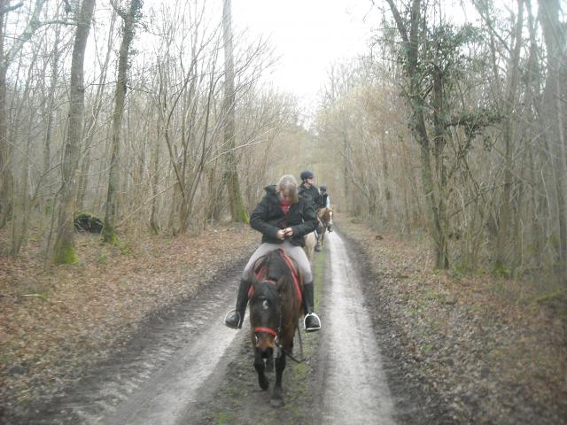 Balade de 2h - Milly la Forêt - Chapeau de Napoléon 375793DSCN9525