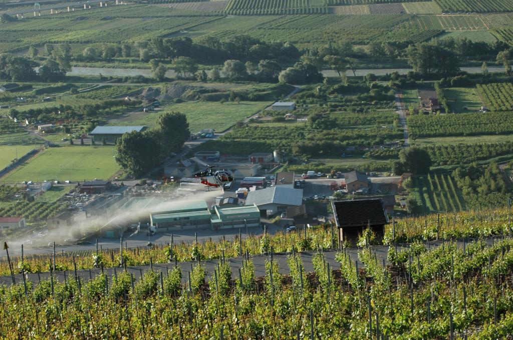 Epandage sur les vignes Valaisanne 402357DSC_0995