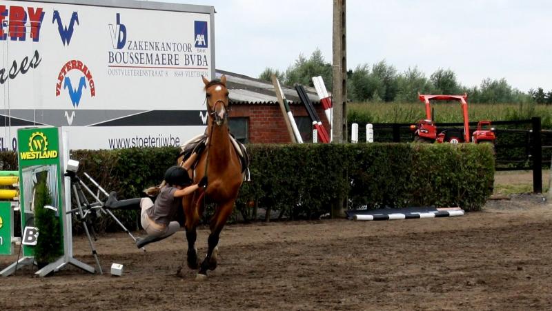 Jumping : chute de cheval 414195chute