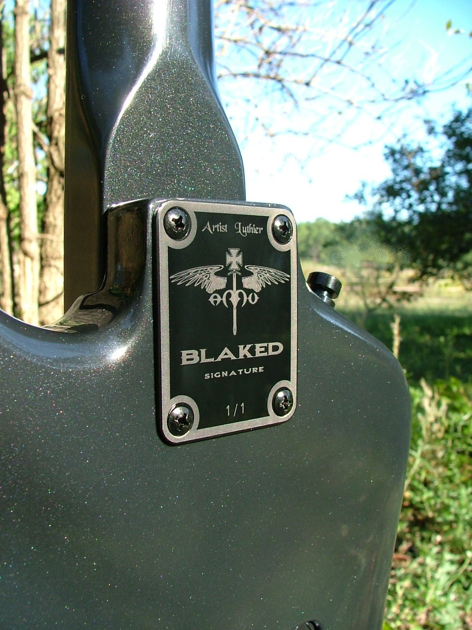 AMV Custom guitars - Page 4 447759blaked1