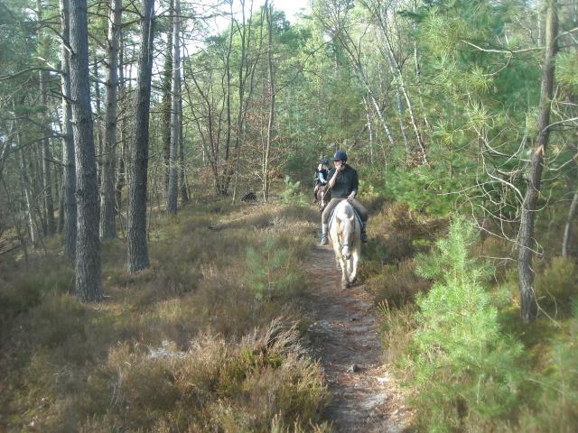 Balade de 2h - Milly la Forêt - Chapeau de Napoléon 504941DSCN9504