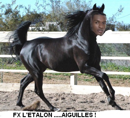 les fakes de SS 3 - Page 2 529362cheval2