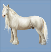 L'Elevage Lovely Devil 555726Cheval_Trait_Blanc