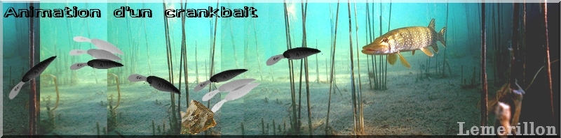 Les crankbaits 558963animation_d__un_crankbait