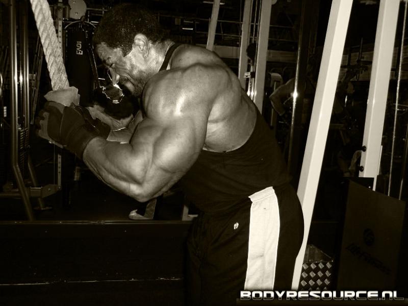 Roelly Winklaar  - Page 2 561510rutri