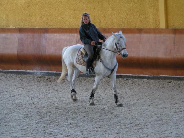 photos de la direction et du personnel - Page 3 601496cours_dans_manege_04.09_068