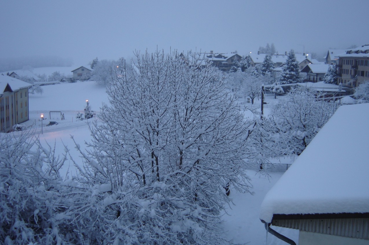 Nanny : La Suisse et les paysages de sa region... 648344attalens4