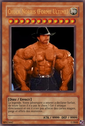 The Chuck Norris TCG ! Les Defenders of the Universe - Page 3 697997untitled