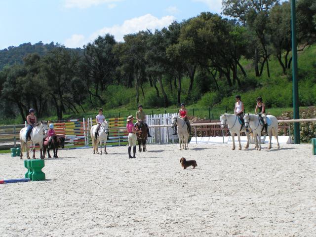 au poney-club il y a des adultes !!! 701989hunter_04.09_053