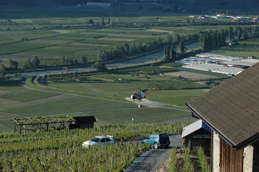 Epandage sur les vignes Valaisanne 702874DSC_0997