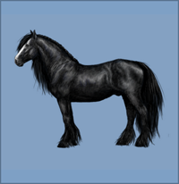 L'Elevage Lovely Devil 722065Cheval_Trait_Noir