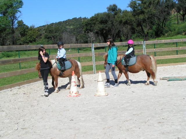 Le baby poney a du succès ! - Page 2 767673rando_journee_04.09_019