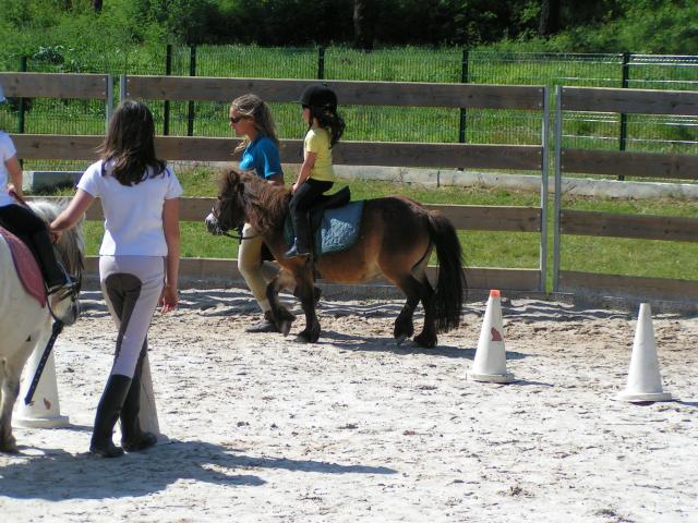 Le baby poney a du succès ! - Page 2 801962Nael_riviere_040