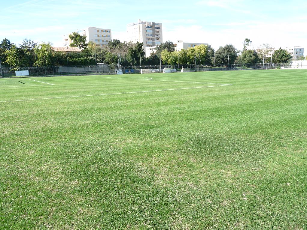 L"OLYMPIQUE DE MARSEILLE SORT ENFIN DE SA RESERVE!!!! 847928P1010625