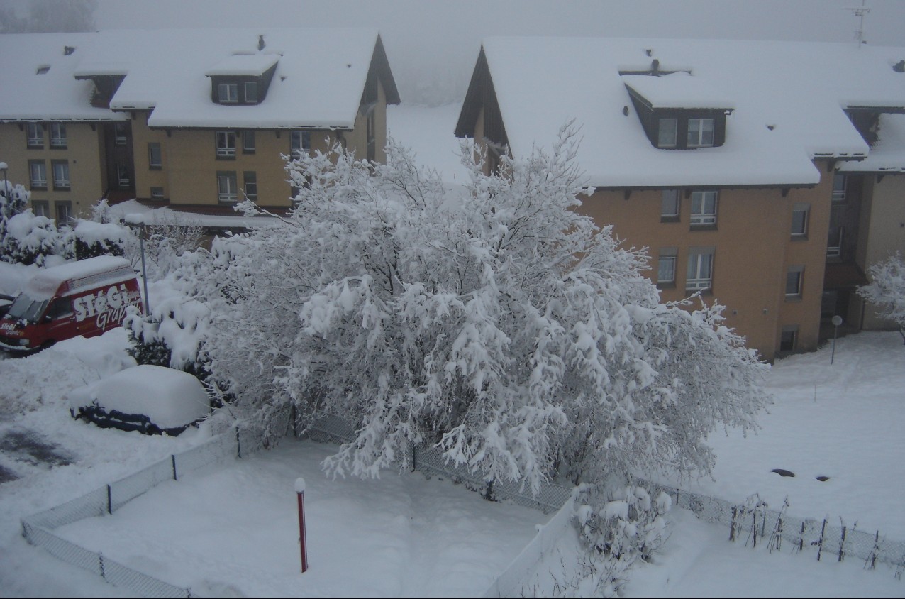 Nanny : La Suisse et les paysages de sa region... 999801attalens6