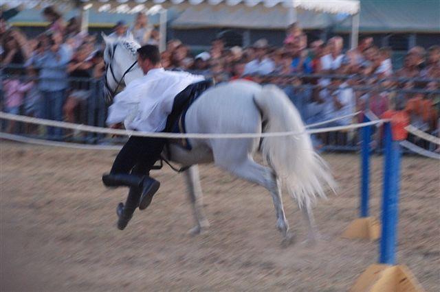 Levens la fête du cheval ... - Page 2 122064DSC_0473__2_