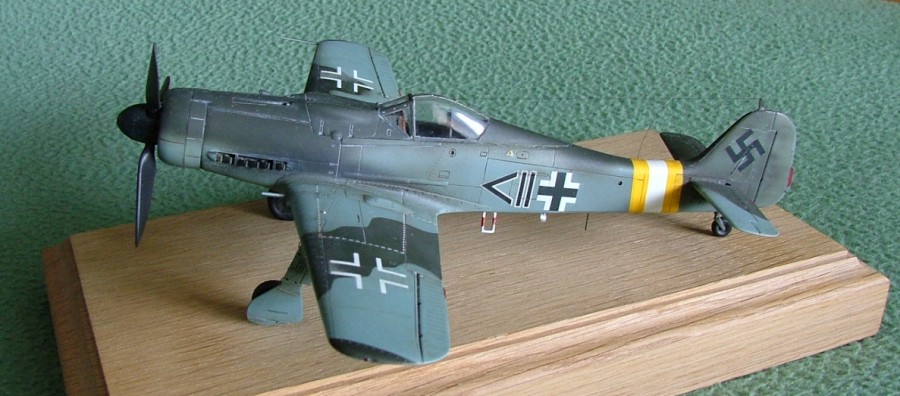 FW 190 Dora (Montage Chrono) Tamiya 1/48 159377DSCF1855