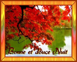 Bonjour automne 216323Bonne_nuit_automne_ovfoyjy7