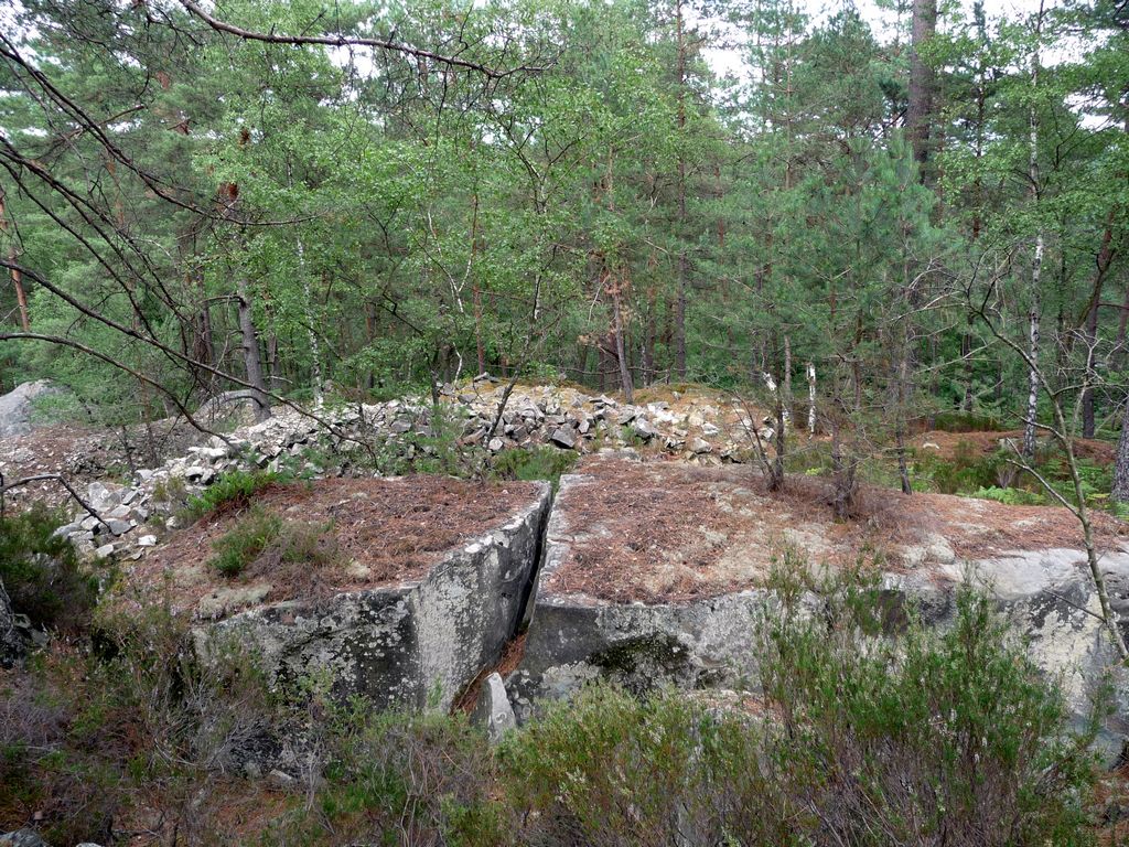 Photos fontainebleau, la foret aux cailloux et fontaines 222607tn_P1060221