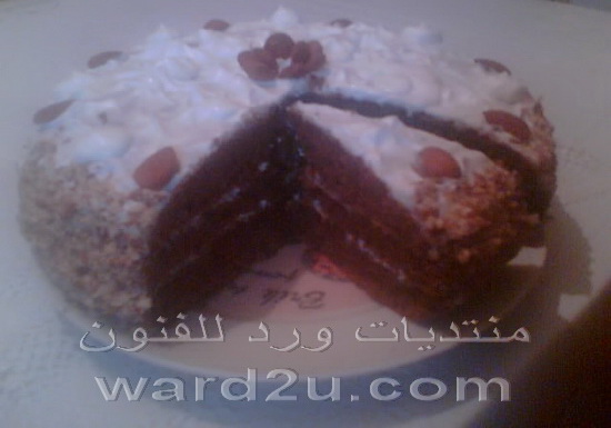 الكيكة الاسفنجية وصفة سهلة ولذيدة 2287371145_manino_www.ward2u.com