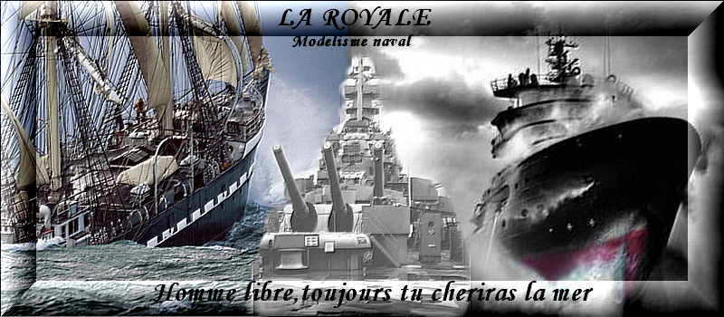 NOUVELLE BANNIERE !!! THE VOTE !!! 1er tour 23521banniere_la_royale_3