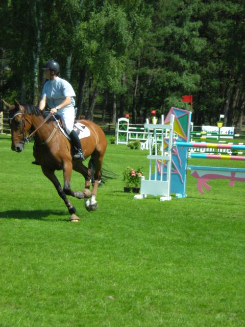 Concours hippique du Grand Parquet de Fontainebleau 24460Equitation_017